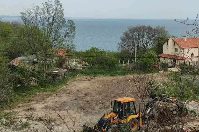 Plot in Zlatni Pyasyci