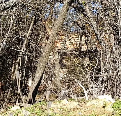 Photo 3 — Plot in Novi Iskyr