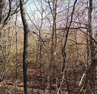Photo 5 — Plot in Novi Iskyr