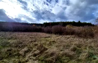 Парцел в с. Войнеговци