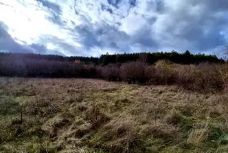 Парцел в с. Войнеговци