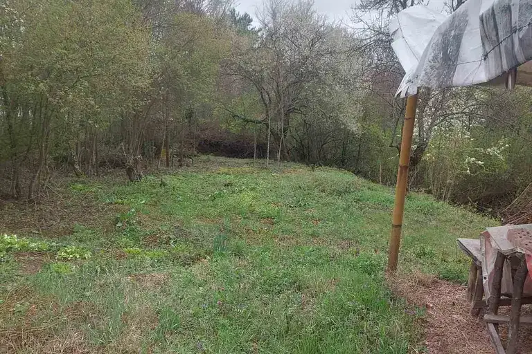 Plot in Podgumer
