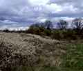 Снимка 5 — Парцел в с. Войнеговци