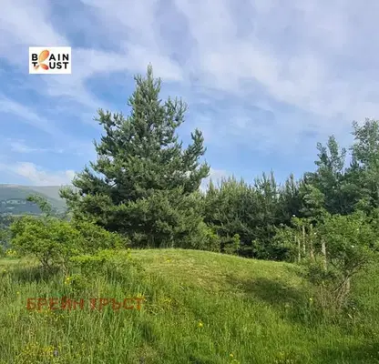 Photo 3 — Plot in Jeleznica