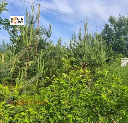 Photo 4 — Plot in Jeleznica