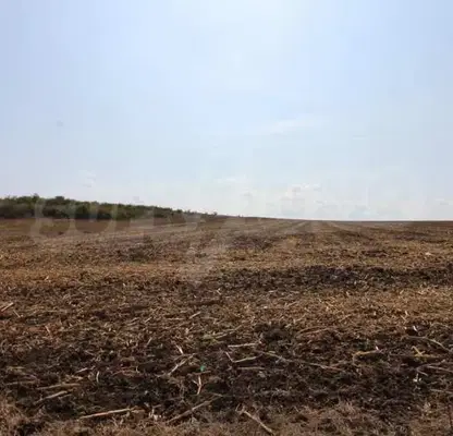 Photo 2 — Plot in Marinka