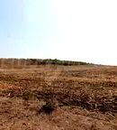 Парцел в с. Маринка