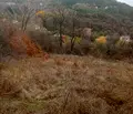 Снимка 3 — Парцел в с. Мърчаево