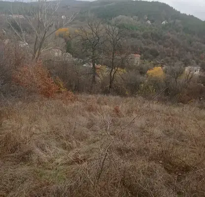 Снимка 3 — Парцел в с. Мърчаево