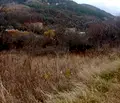 Снимка 4 — Парцел в с. Мърчаево