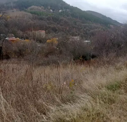 Снимка 4 — Парцел в с. Мърчаево