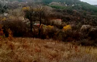 Парцел в с. Мърчаево