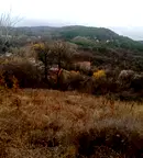 Парцел в с. Мърчаево