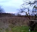 Снимка 2 — Парцел в с. Тополи