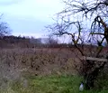 Снимка 3 — Парцел в с. Тополи