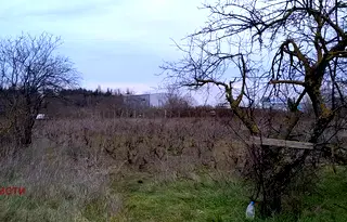 Парцел в с. Тополи