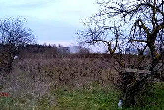 Парцел в с. Тополи