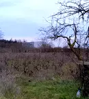 Парцел в с. Тополи