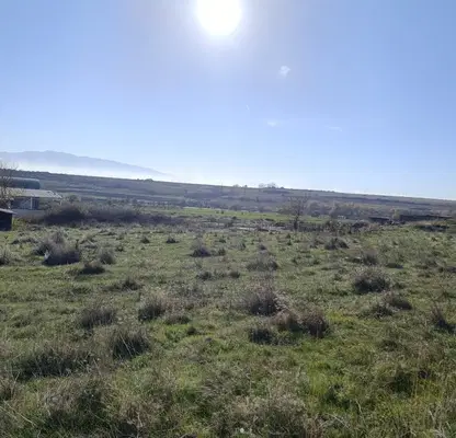 Photo 4 — Plot in Novi Iskyr