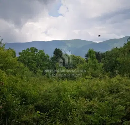 Photo 3 — Plot in Kokalyane
