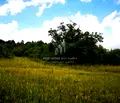 Снимка 5 — Парцел в с. Кокаляне