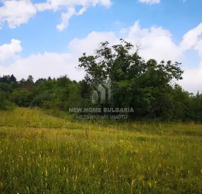 Photo 5 — Plot in Kokalyane