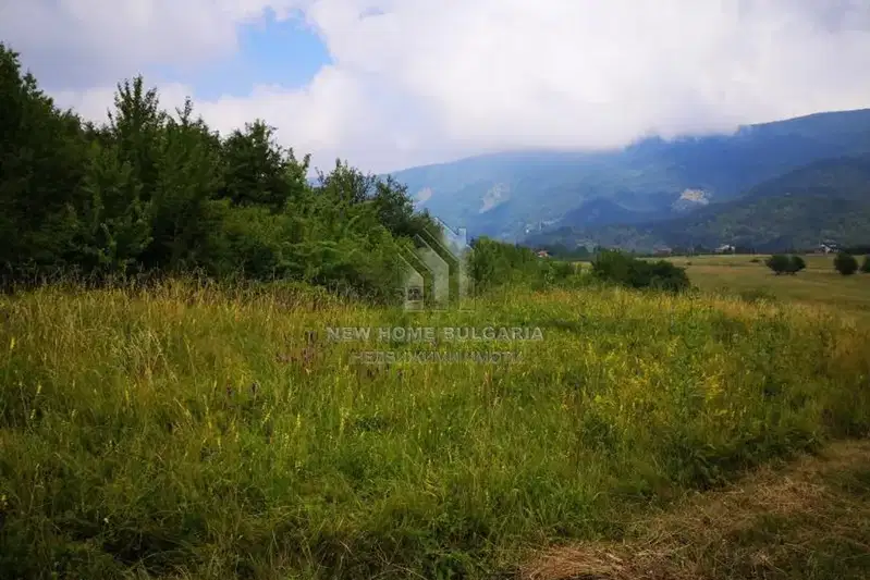 Plot in Kokalyane