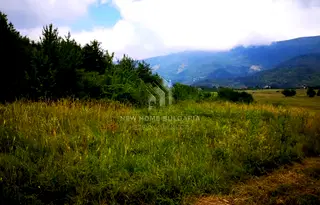 Парцел в с. Кокаляне