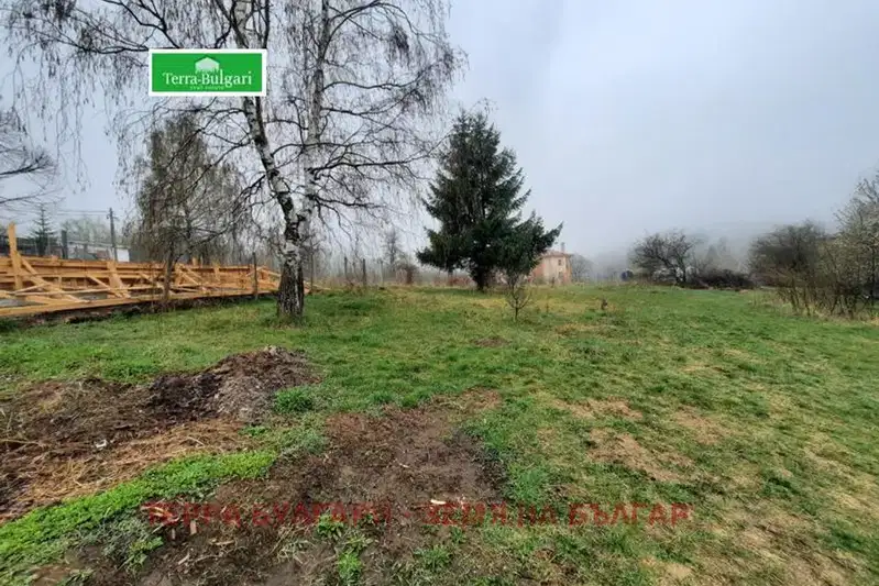 Plot in Vladaya
