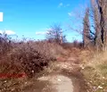 Снимка 2 — Парцел в с. Чепинци