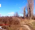 Снимка 3 — Парцел в с. Чепинци