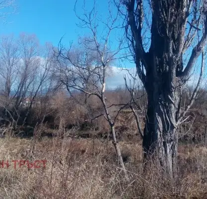 Photo 4 — Plot in Chepinci