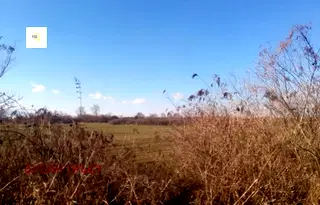Парцел в с. Чепинци