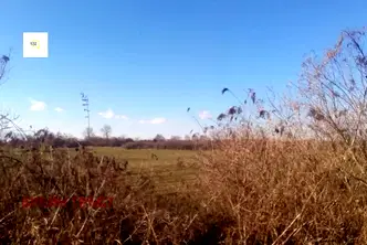 Парцел в с. Чепинци