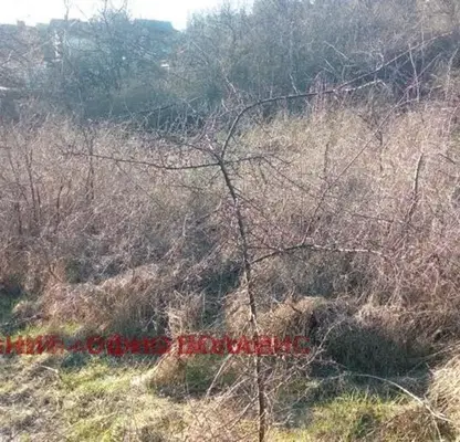 Photo 2 — Plot in Novi Iskyr