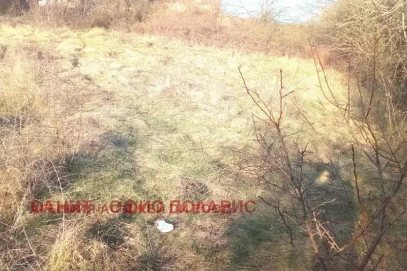 Plot in Novi Iskyr