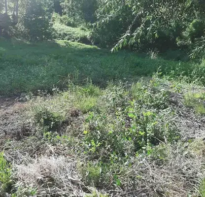 Photo 3 — Plot in Bankya
