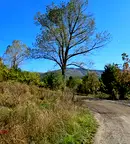 Парцел в с. Владая