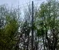 Снимка 3 — Парцел в с. Подгумер