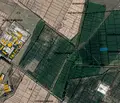 Снимка 2 — Парцел в с. Бусманци