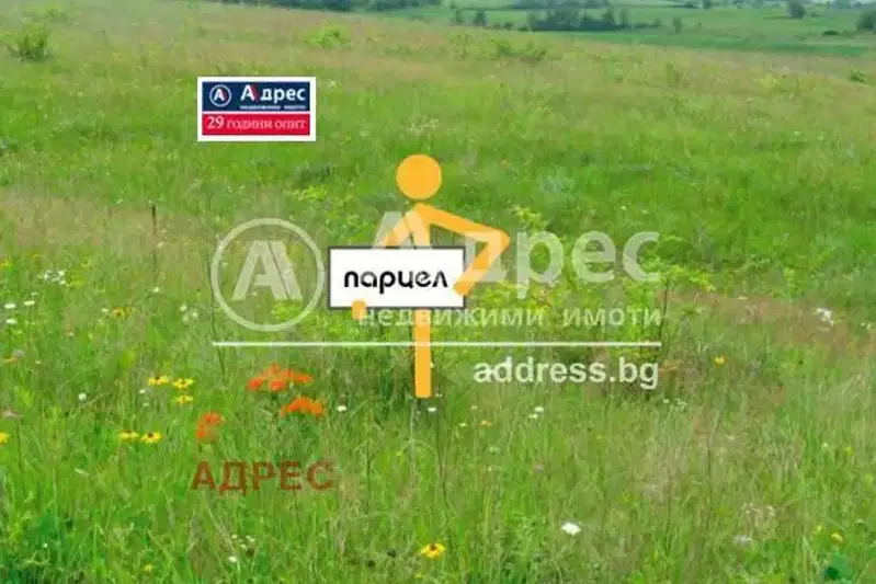 Plot in Konstantinovo