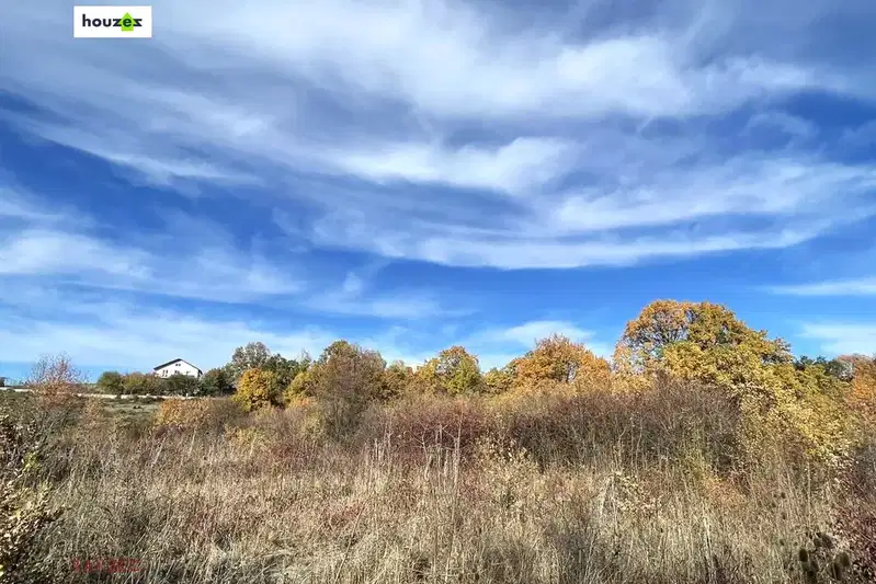 Plot in Ivanyane