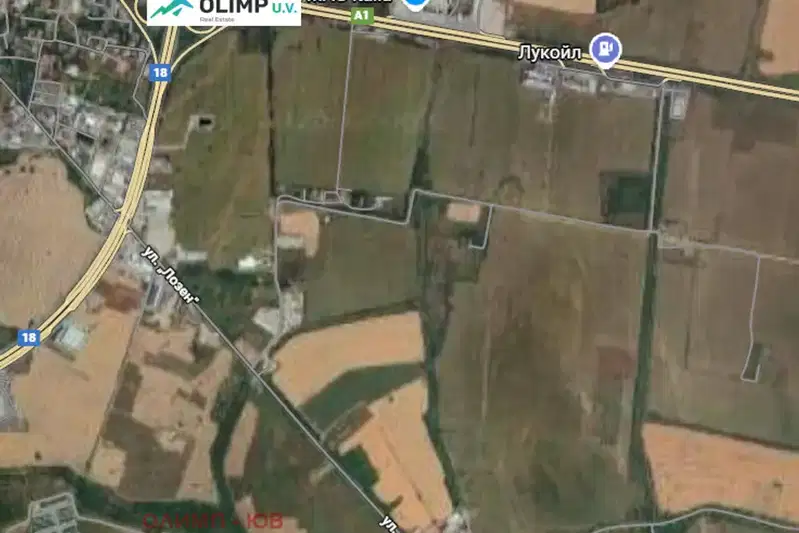 Plot in Lozen