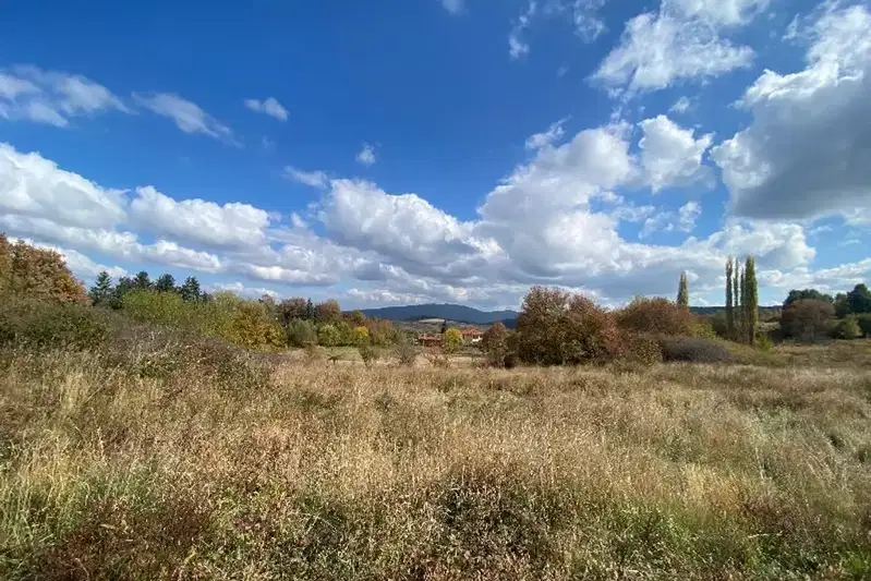 Парцел в с. Бистрица