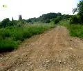 Снимка 4 — Парцел в с. Бистрица