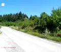 Снимка 2 — Парцел в с. Панчарево