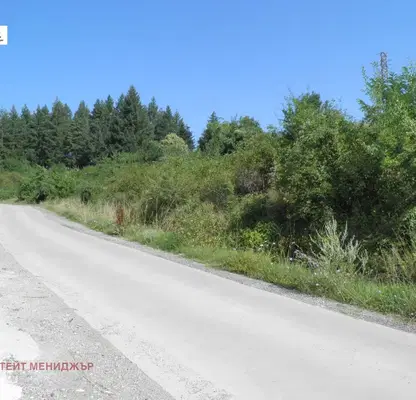 Photo 2 — Plot in Pancharevo
