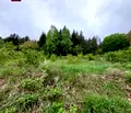 Снимка 3 — Парцел в с. Бистрица