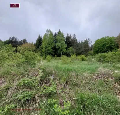 Photo 3 — Plot in Bistrica