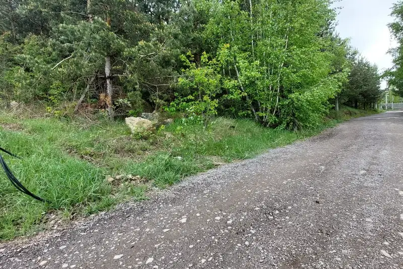 Plot in Bistrica